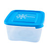 Контейнер для замораживания продуктов "Морозко" 1,0л (квадрат) /40/ (ПБ)
